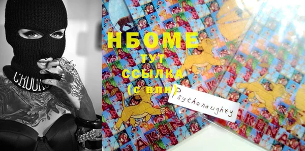 PSILOCYBIN Михайлов