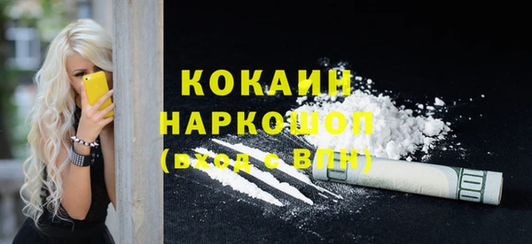 PSILOCYBIN Михайлов