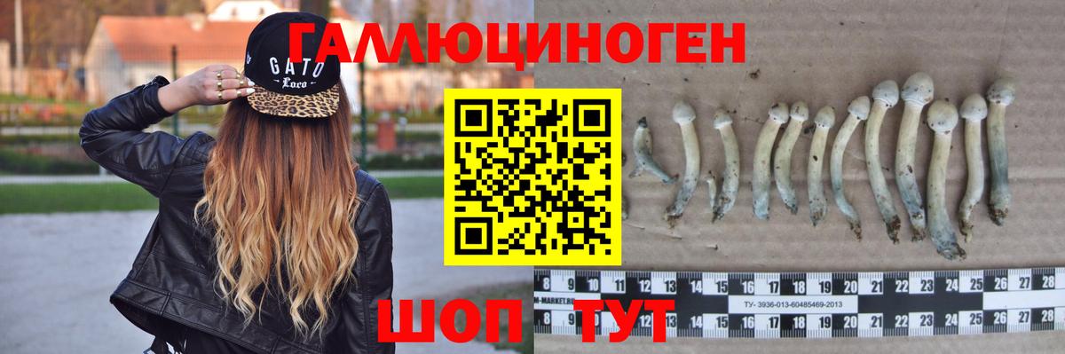 Югорск  Псилоцибиновые грибы мухоморы  Псилоцибиновые грибы прущие грибы  Вход с VPN 